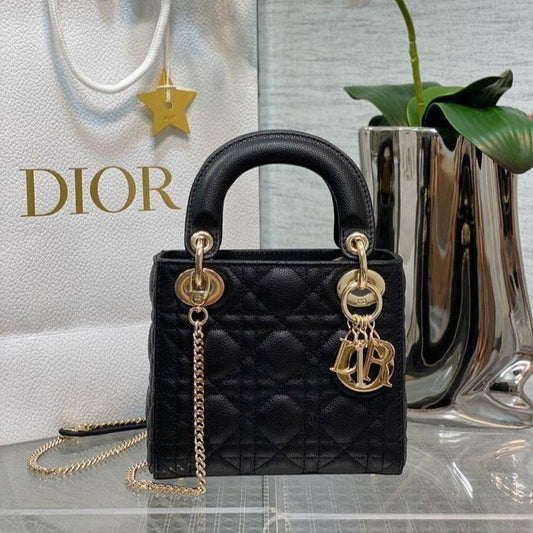 Ladies Dior Mini Bag: A Compact Icon of Timeless Luxury